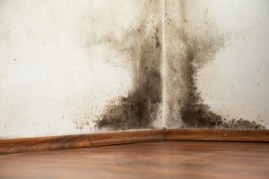 Mold buildup in the corner of a house