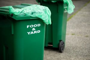 Food and yard scrap bin