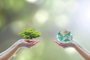 2 hands holding globe and a miniature tree