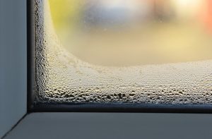 a moist window
