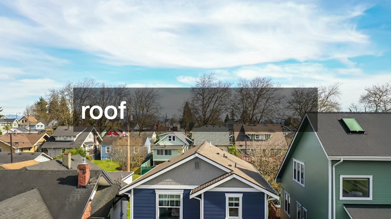 neighborhood's roofs